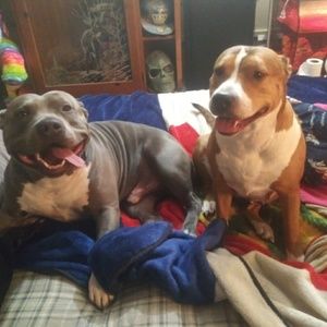 Meet your Posher, Victoree